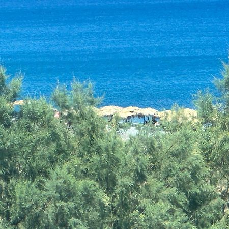 Villa Solmar Rhodes ラクハニア エクステリア 写真